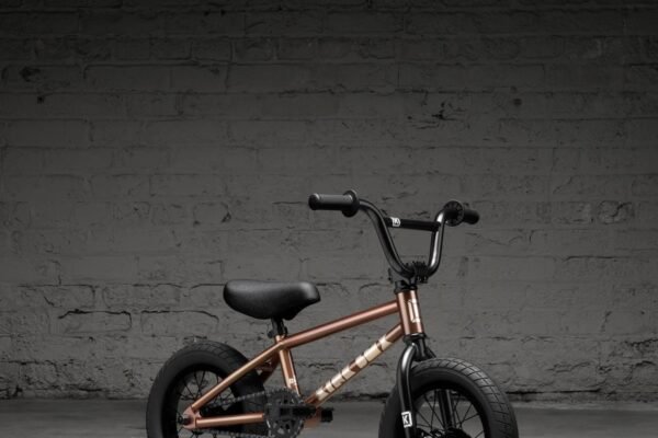 Kink Roaster 12" Bike 2026